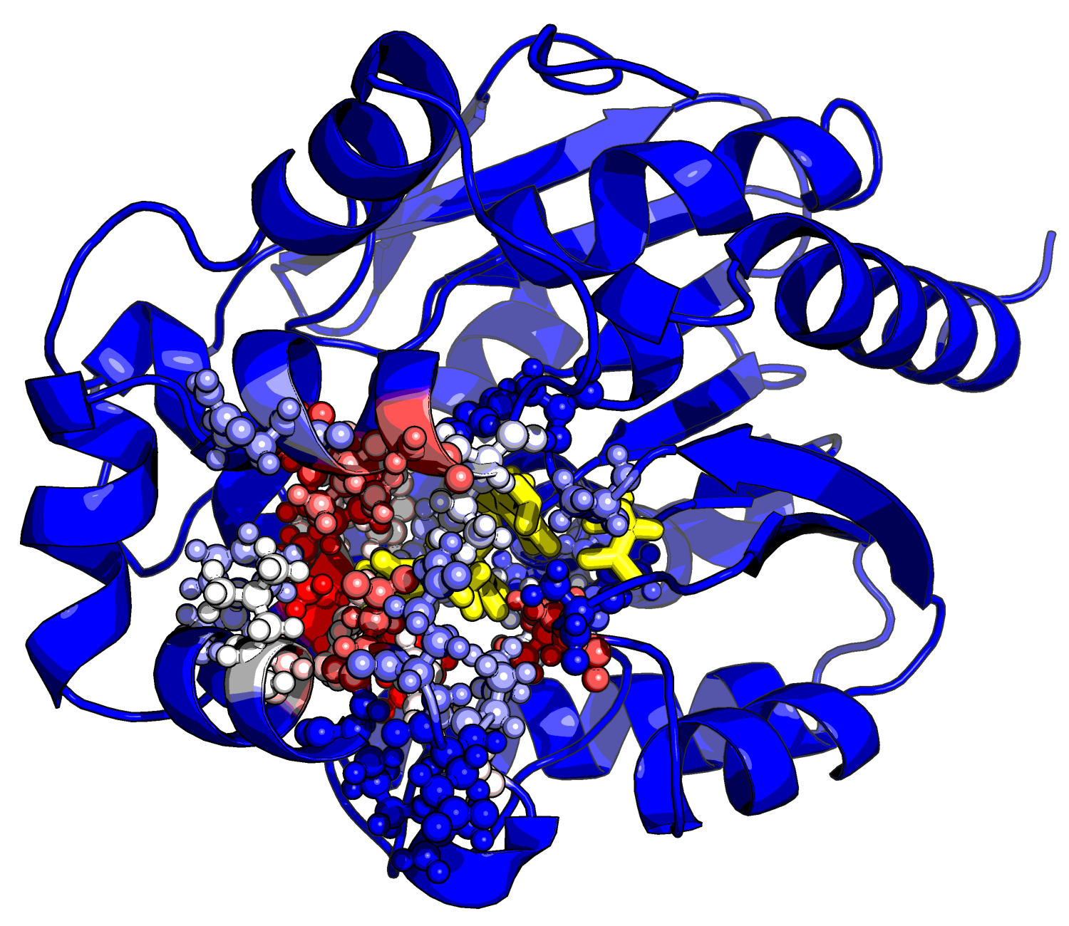 enzyme design